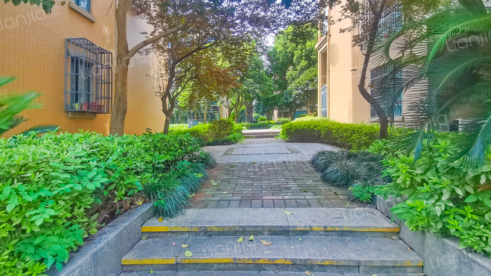 赞成丽景苑外景图