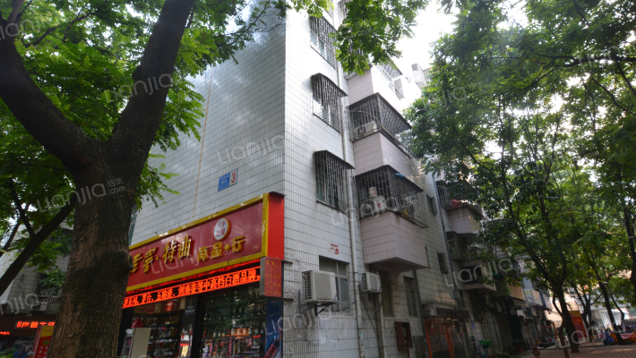 下白石新村外景图