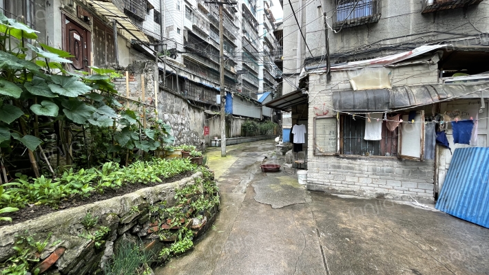 东新路86号外景图