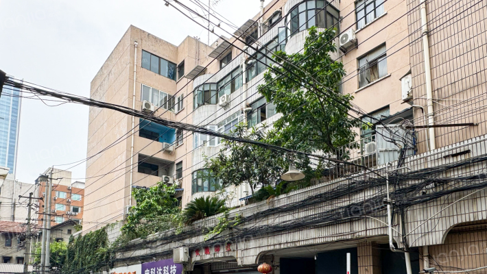 中新横街12号外景图