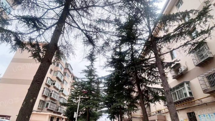 东苑小区外景图