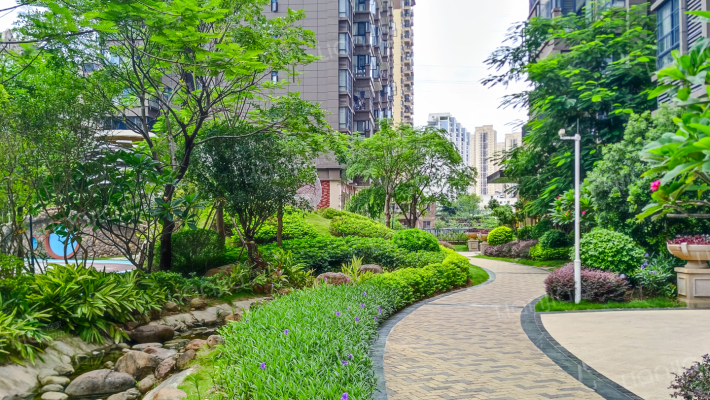 阿尔卑斯外景图