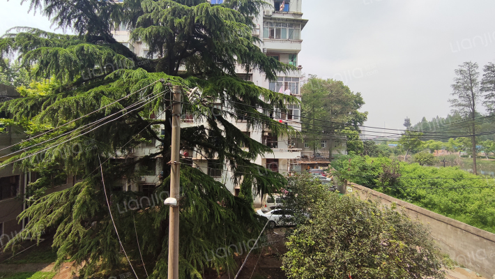 沿港路17号外景图