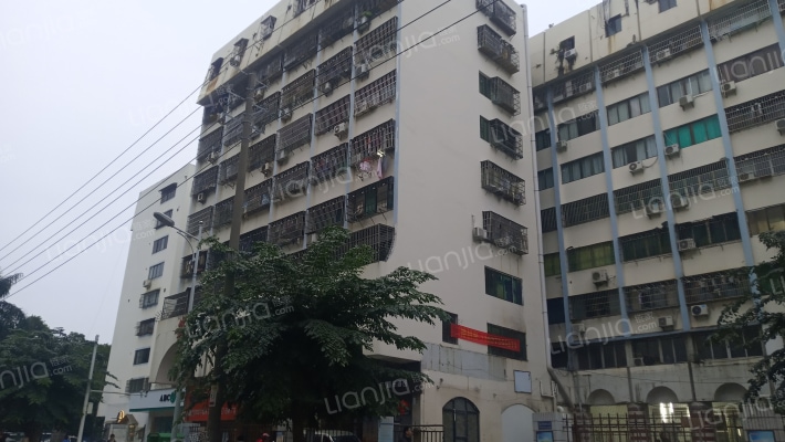 安海大厦外景图