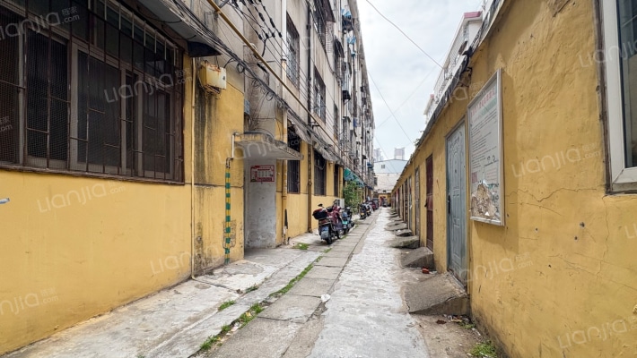 钢球厂家属院外景图