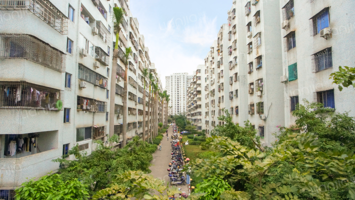 金山小区外景图
