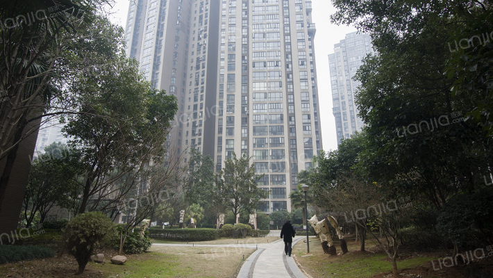 金土地第一湾外景图