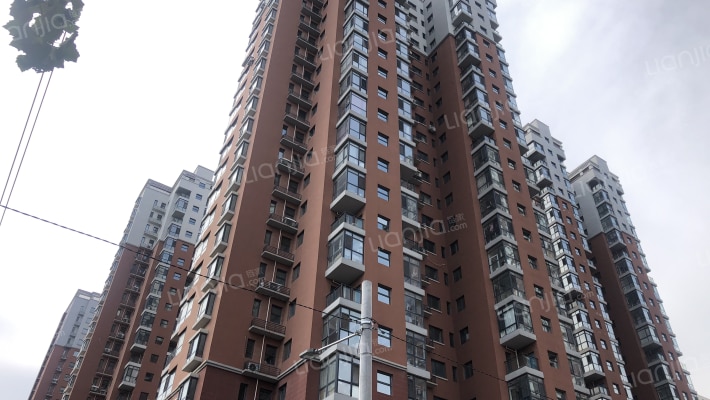 城市玫瑰园外景图