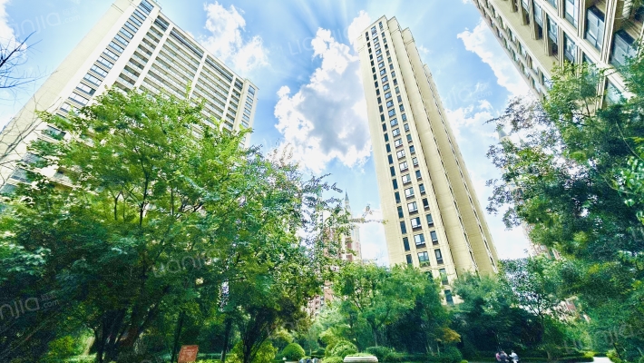 高新绿城玉兰花园外景图