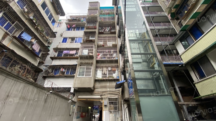 东明街48号外景图