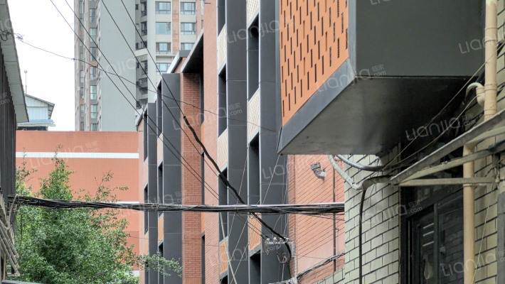 三槐树路91号外景图