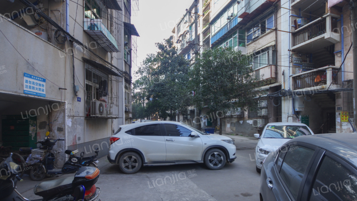 解放大道1982到2018号外景图