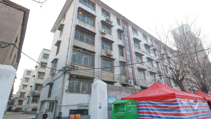 木材公司家属院外景图