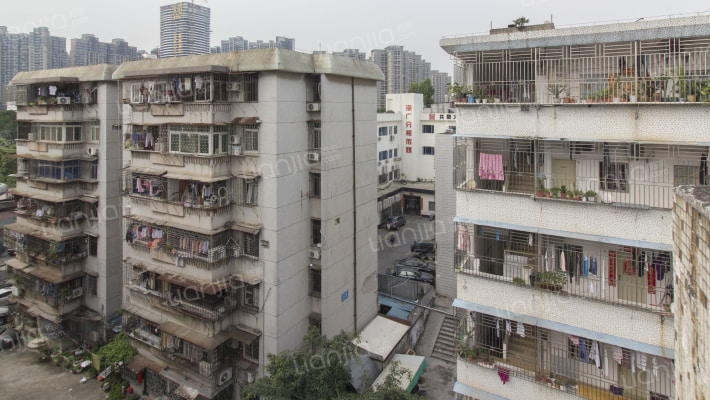 文化局宿舍外景图