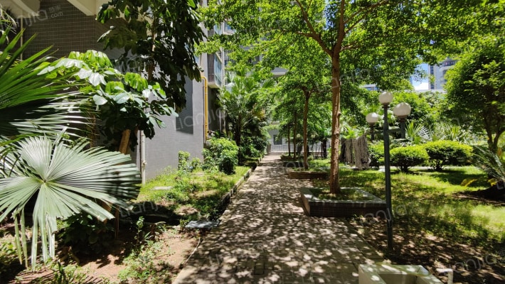 人民四路29号外景图