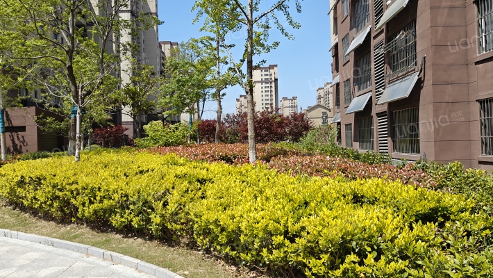 星光花苑外景图