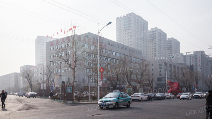 凌奥盛世公寓外景图