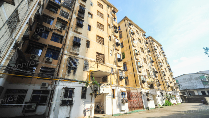 打揽洲121号外景图