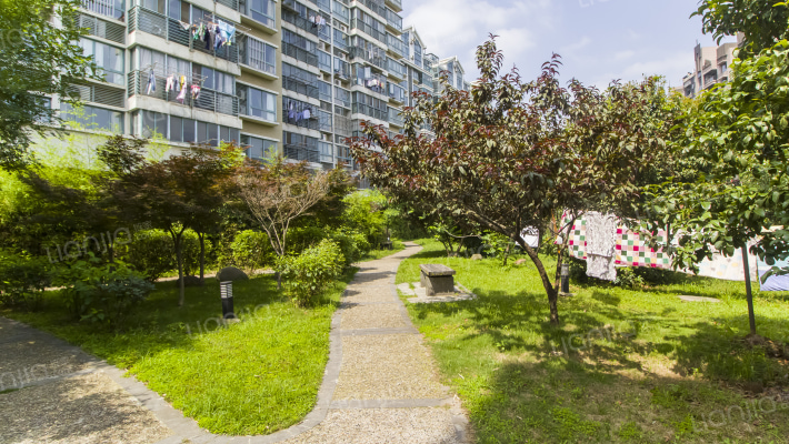 北苑之星外景图