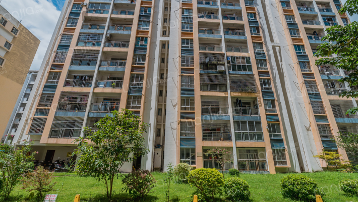 碧海华彩苑外景图