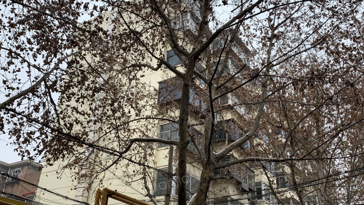 清真寺街149号外景图