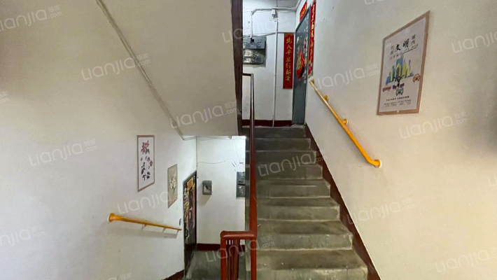 青年东街11号外景图