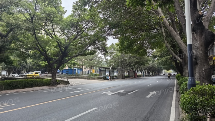 龙津东路外景图