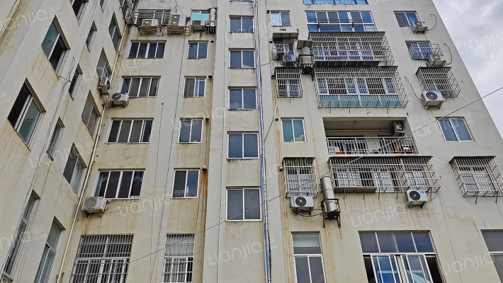 凰屿村综合楼外景图