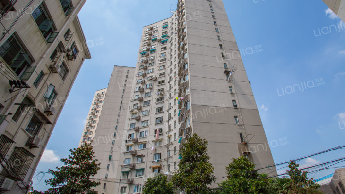 海关大楼外景图