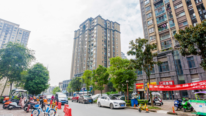 宝嘉花与山外景图