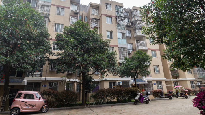 谷山乐园D区外景图