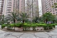 龙珠花园B区3