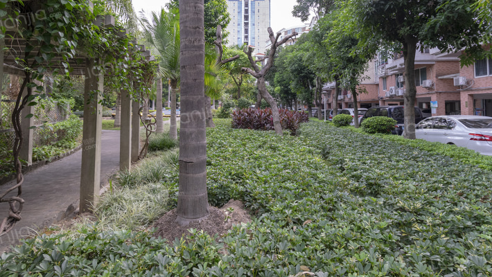 美心翠拥华庭一期外景图