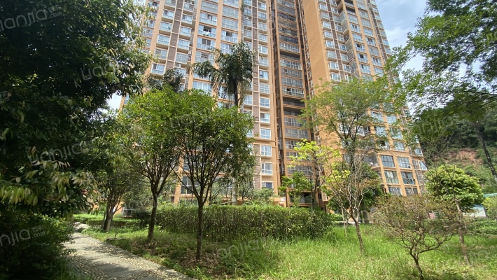 湖景新城外景图