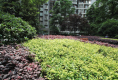 锦江城市花园一期5