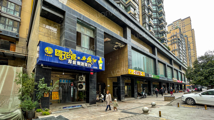 九锦云廷外景图