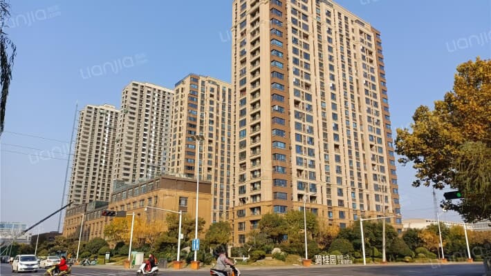 碧桂园天玺外景图