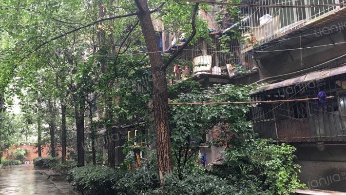 花牌坊街6号外景图