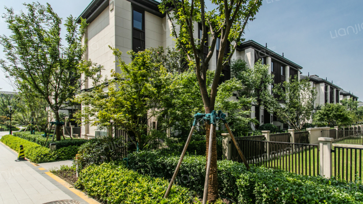 龙湖天宸原著外景图