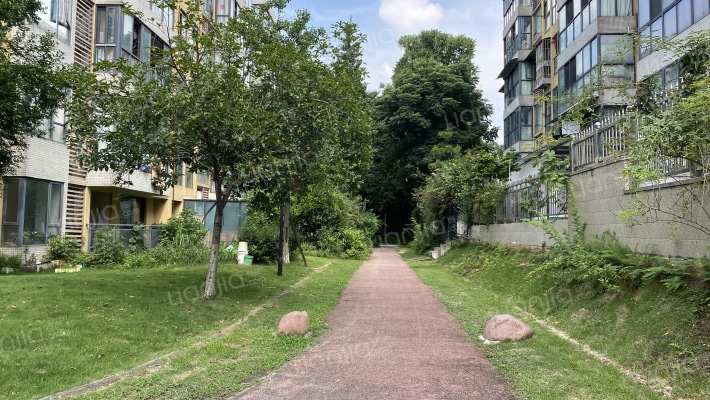 宗申赛纳维外景图