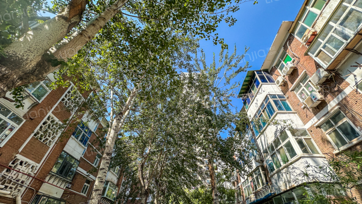 邯郸百家村生活区四区外景图