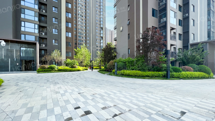 御锦城幸福树外景图