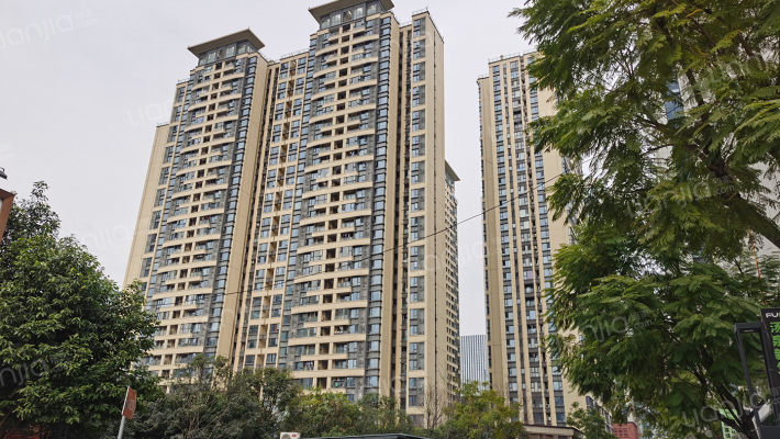 炎华置信花千集外景图