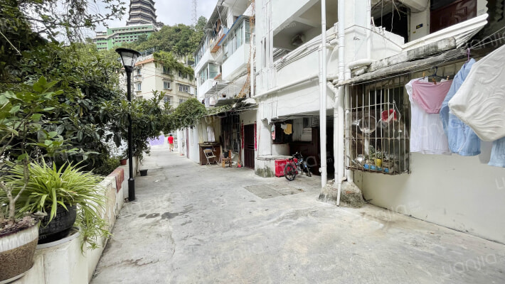 日化厂宿舍外景图