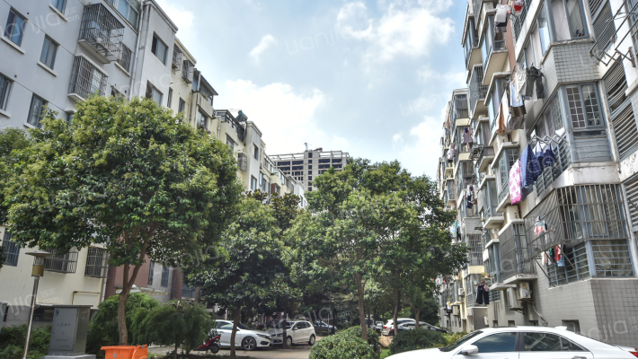 月湖花城外景图