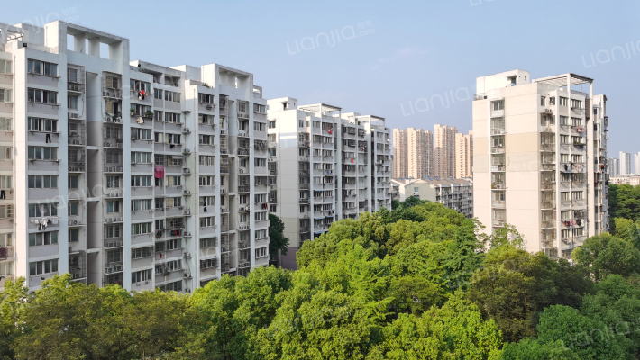 龙塘家园外景图