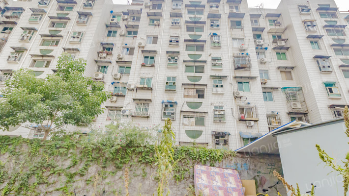 金湖公寓(江岸)外景图