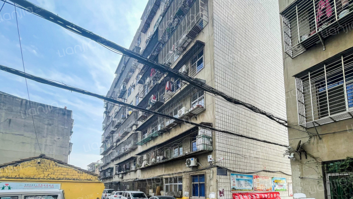 老麻球厂家属院外景图