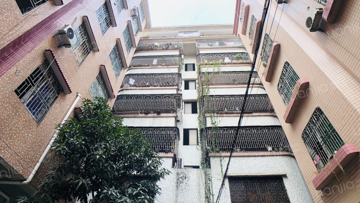 罗村荣华楼外景图