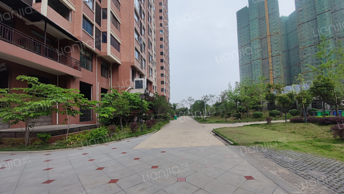 岸芷汀兰外景图